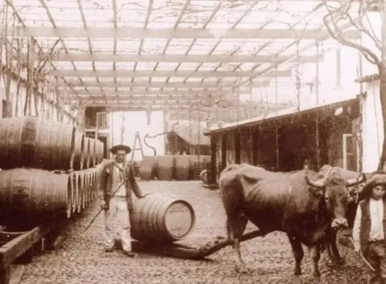 Historia vitivinícola argentina