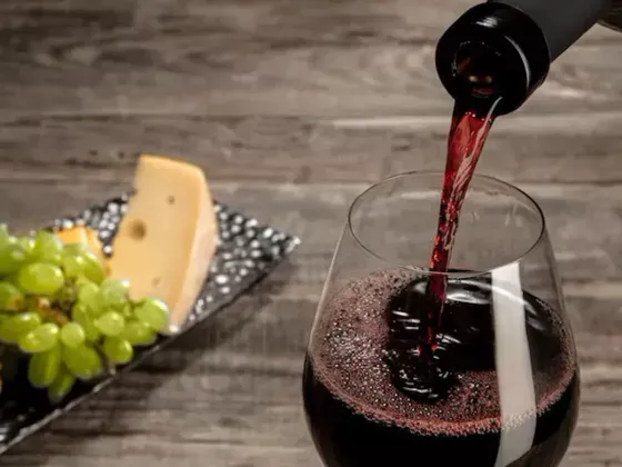 ¿Frío o temperatura ambiente? Guía práctica para servir vinos en climas cálidos