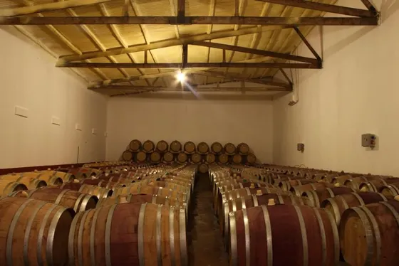Finca Quara - Barricas