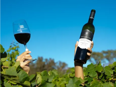Bodega Nueve Cumbres