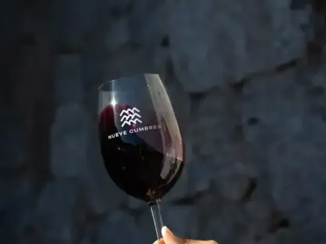 Bodega Nueve Cumbres