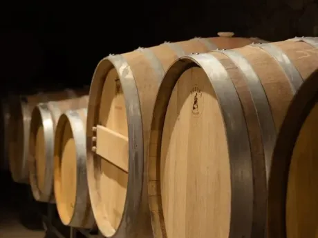 Bodega Nueve Cumbres