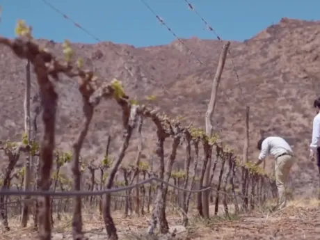 Bodega Altupalka