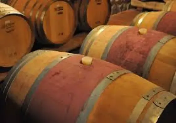 Bodega Peña Veyrat Durbex - Barricas