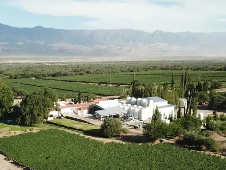 Bodega Tolombón