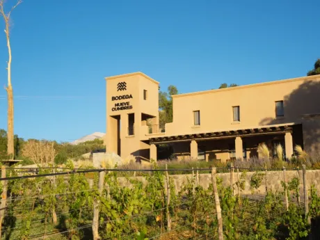Bodega Nueve Cumbres