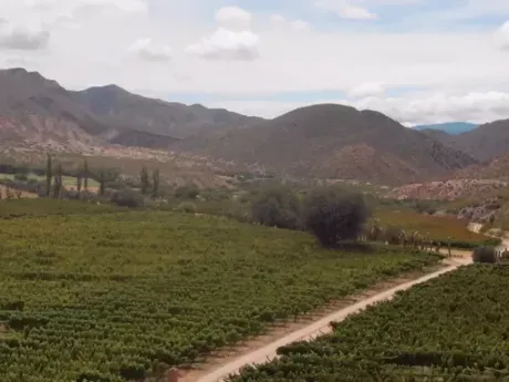 BODEGA ALTUPALKA, Cafayate, Salta Argentina