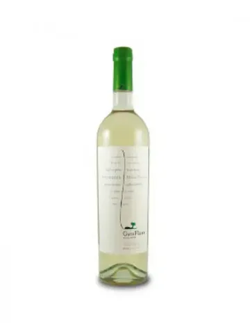 Gata Flora Bodega Vasija Secreta (Torrontes)