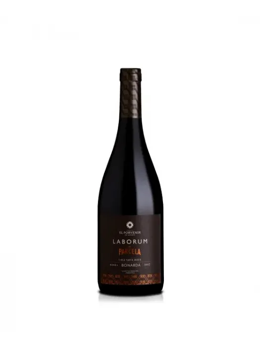 Bonarda de Finca Santa María