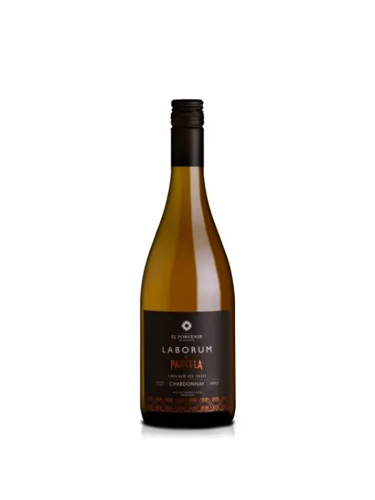 Chardonnay de Finca Alto Los Cuises