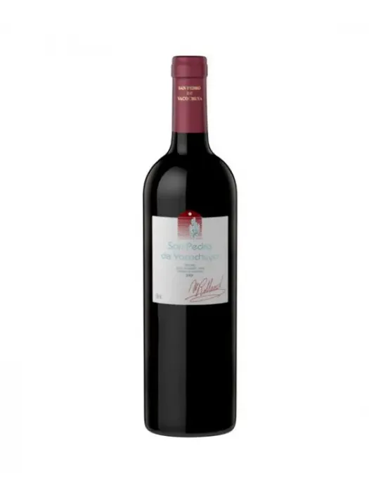 San Pedro de Yacochuya Malbec