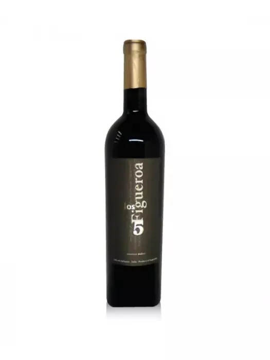 Los 5 Figueroa Malbec