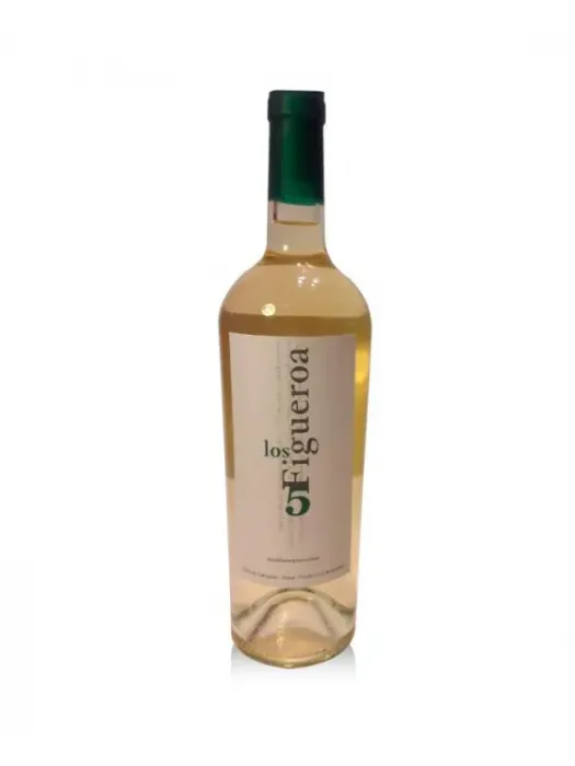 Los 5 Figueroa Torrontés